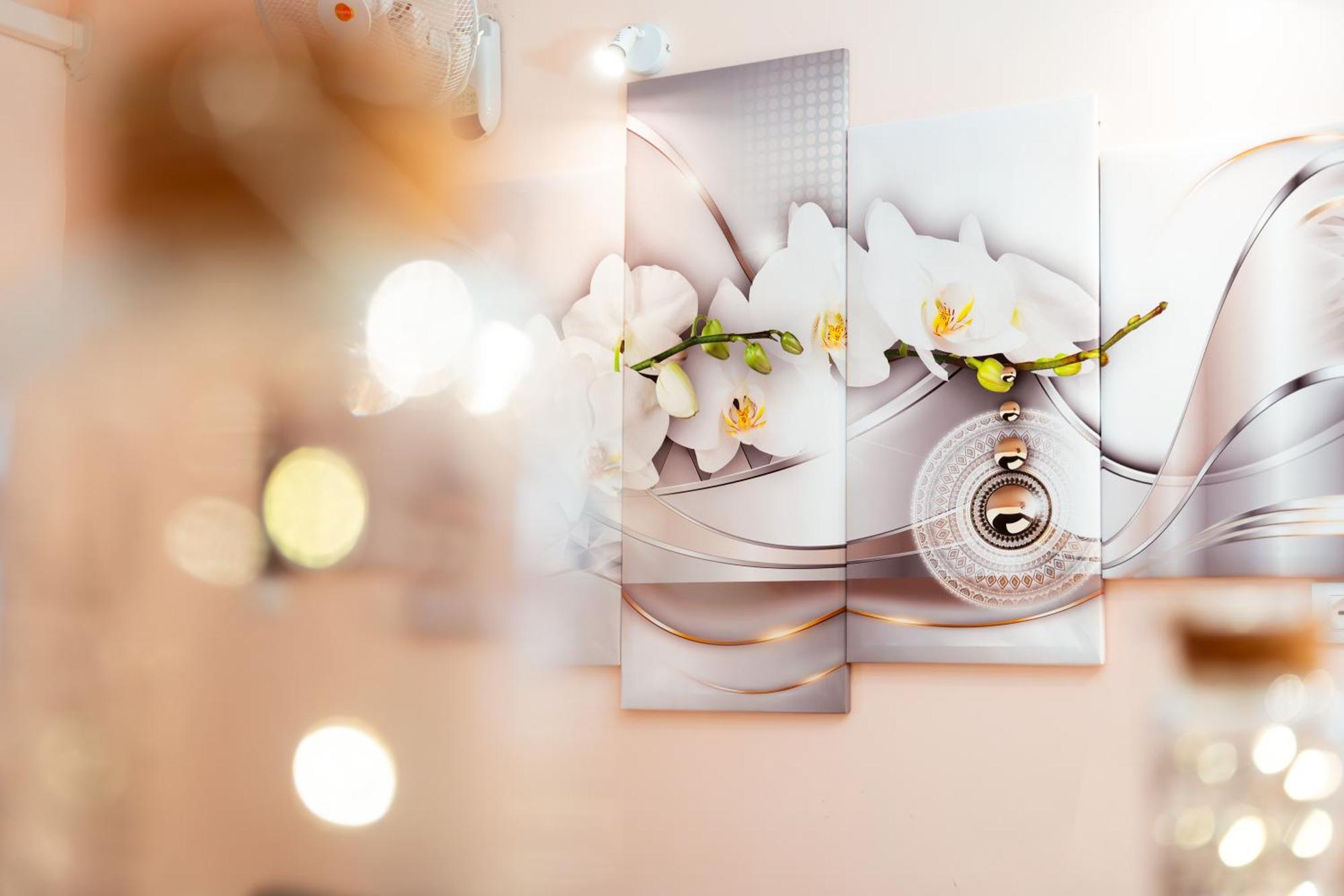 Ortensie Home ローマ エクステリア 写真